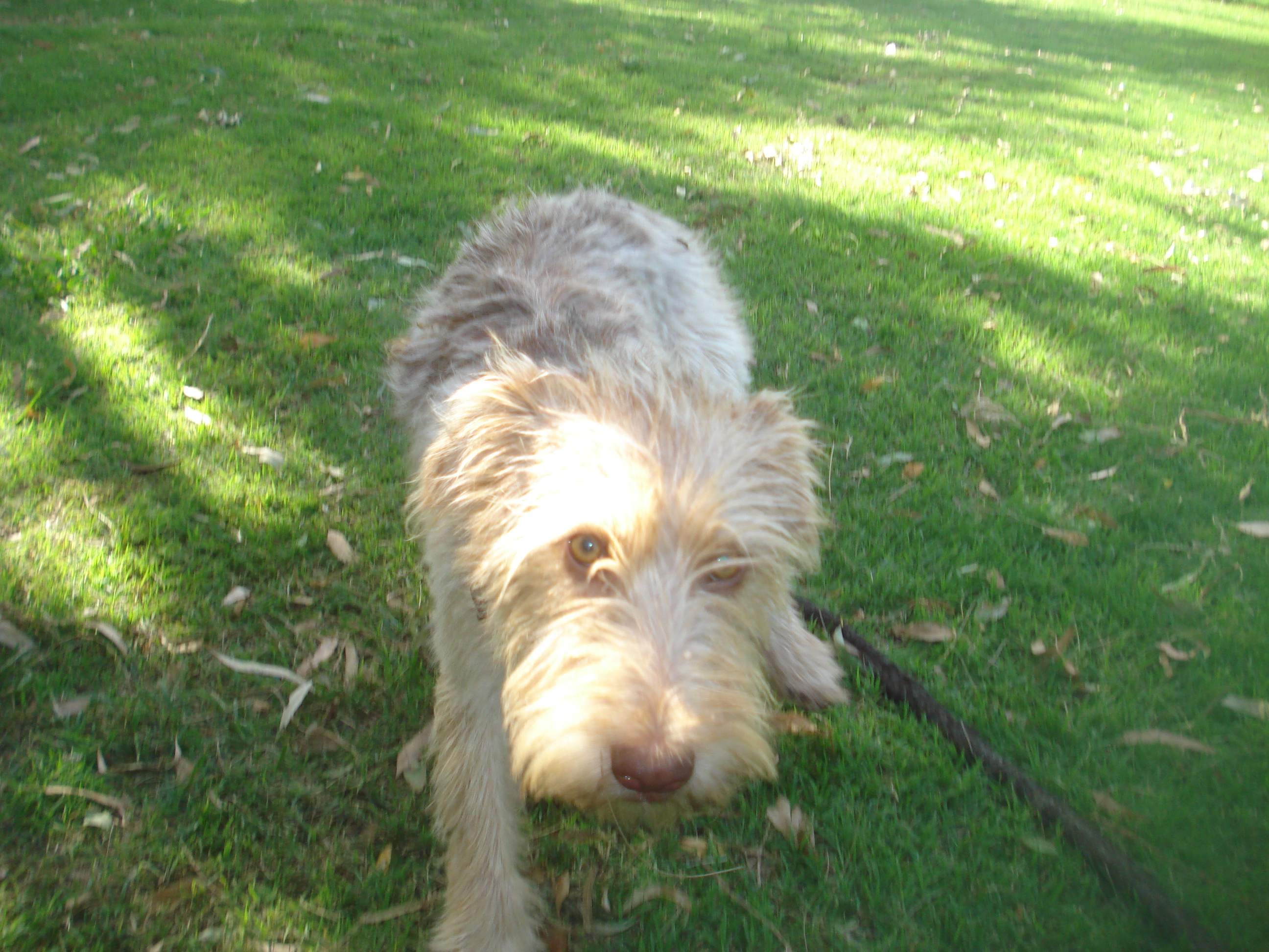fotos/2012-12-25 - Campo Tia Marta/DSC05135.JPG